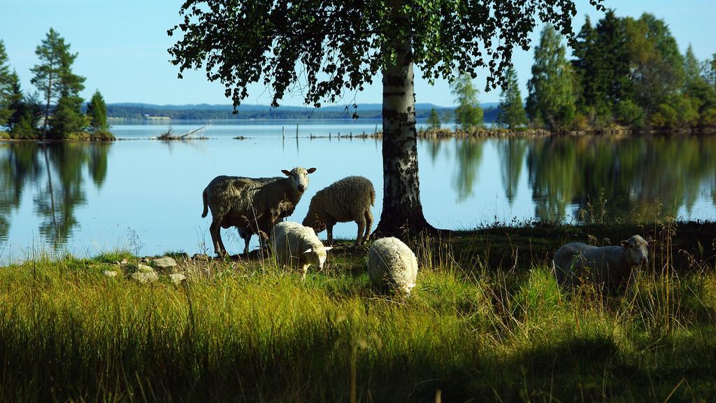 Lits Camping, Stugby Och Kanot Hotel Kültér fotó